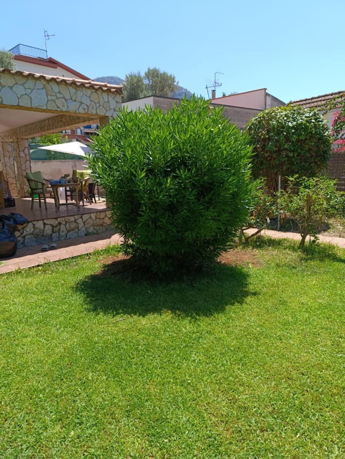 Garden House Mondello Palermo Vila Exterior foto